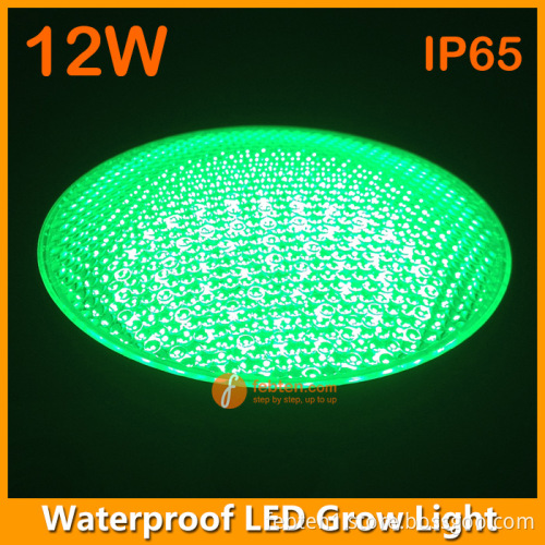 E27 LED grow bulb 12W full red or green